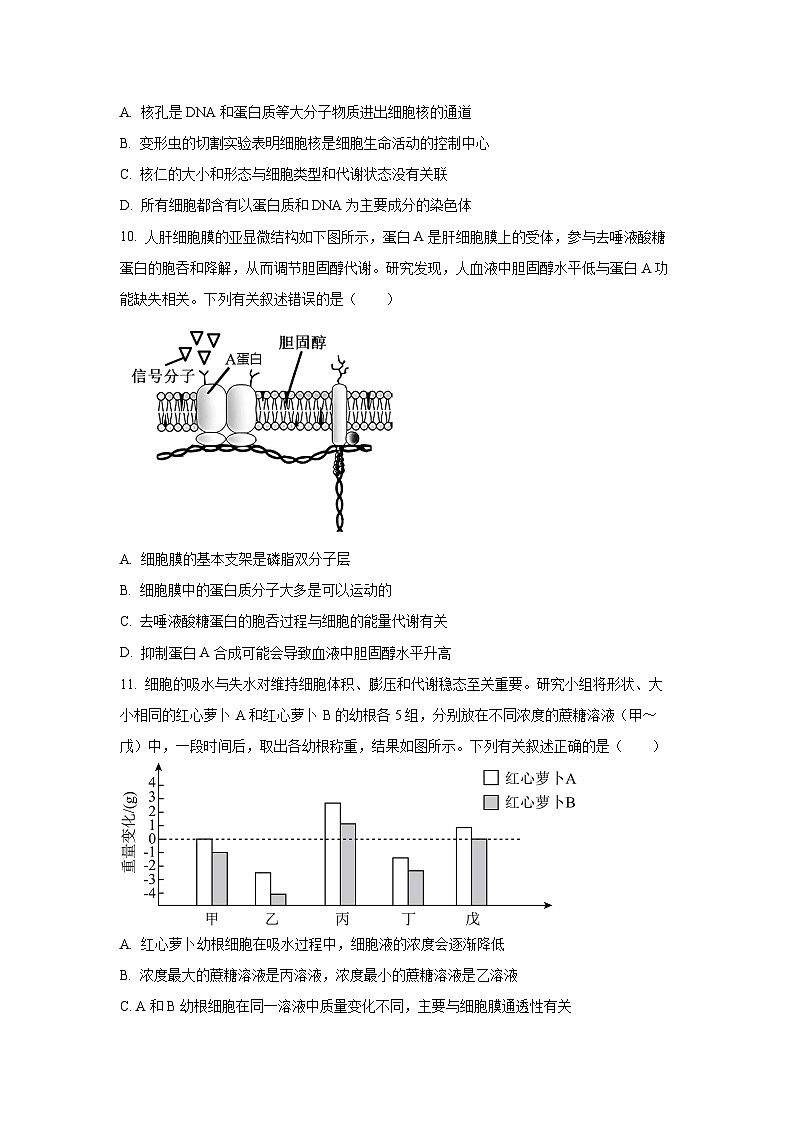 【生物】海南省部分学校2025-2026学年高一上学期1月期末试题（学生版）第3页
