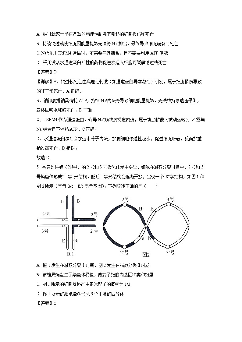 【生物】河北省承德市2025-2026学年高三上学期12月月考（解析版）第3页