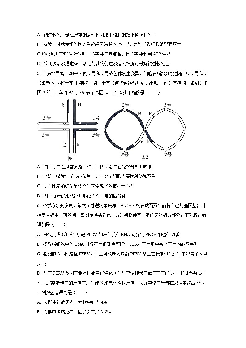 【生物】河北省承德市2025-2026学年高三上学期12月月考（学生版）第2页