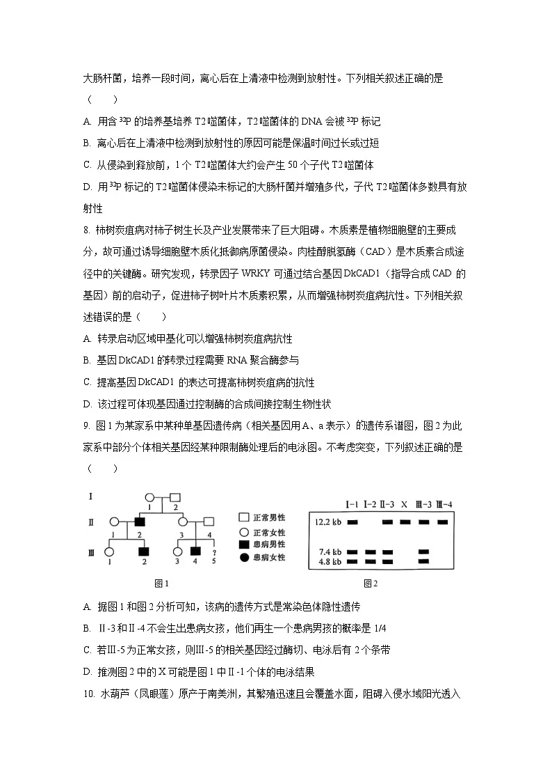 【生物】黑龙江省齐齐哈尔市2025-2026学年高三上学期期末试题（学生版）第3页