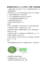【生物】青海省海东市联考2025-2026学年高一上学期1月期末试题(学生版+解析版)