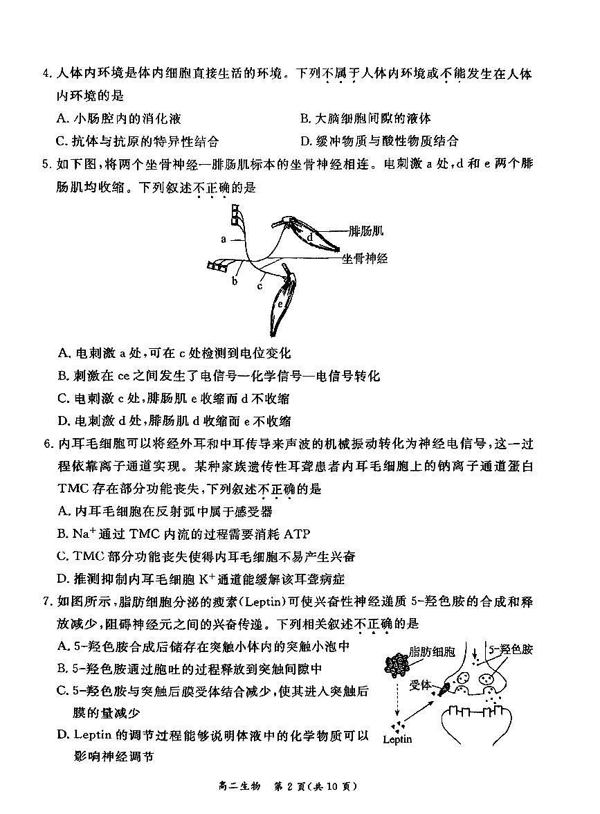 2026北京东城高二（上）期末生物试卷第2页