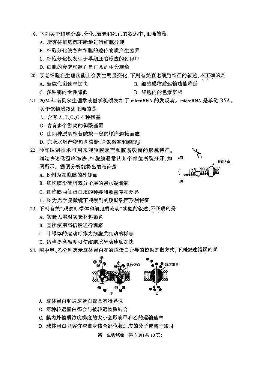 2026北京顺义高一（上）期末生物试卷   无答案第3页