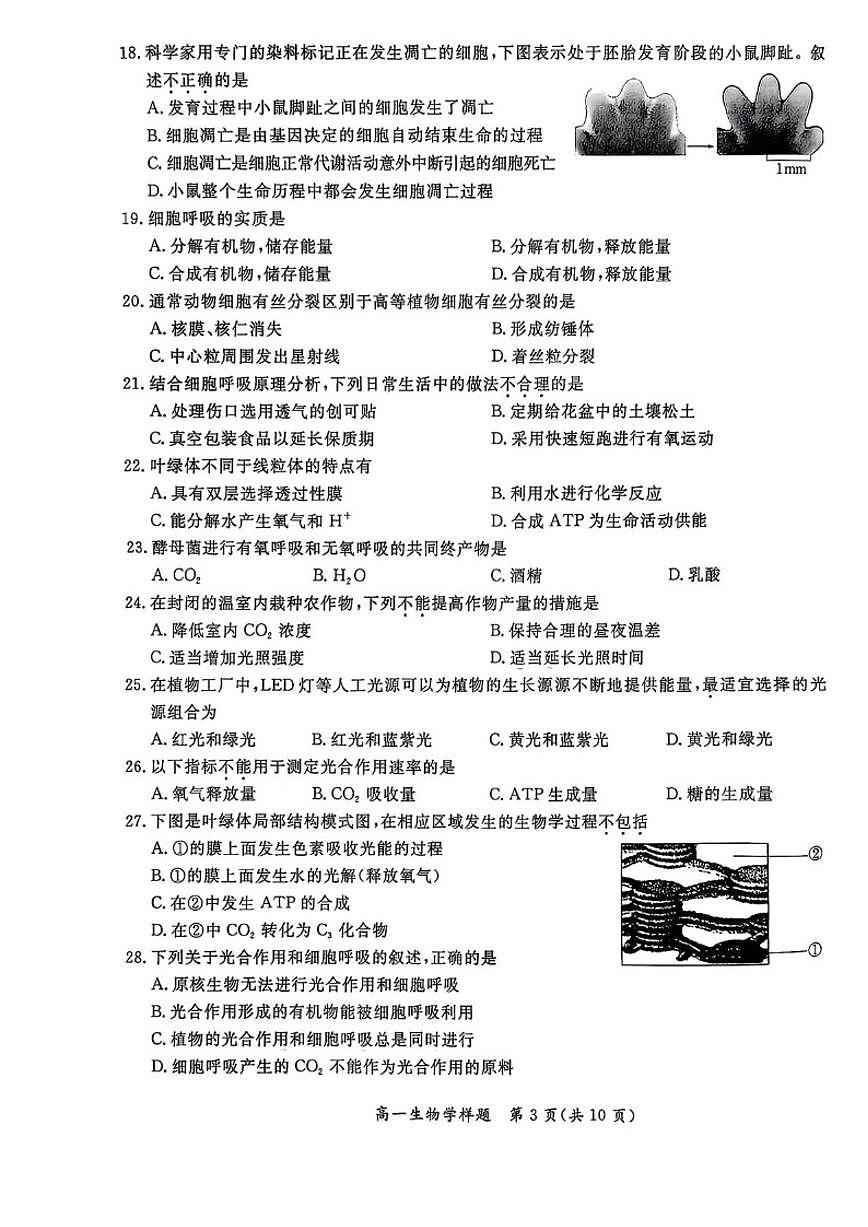 北京市通州区2025一2026学年度高一上学期期末生物学样题试卷（无答案）第3页