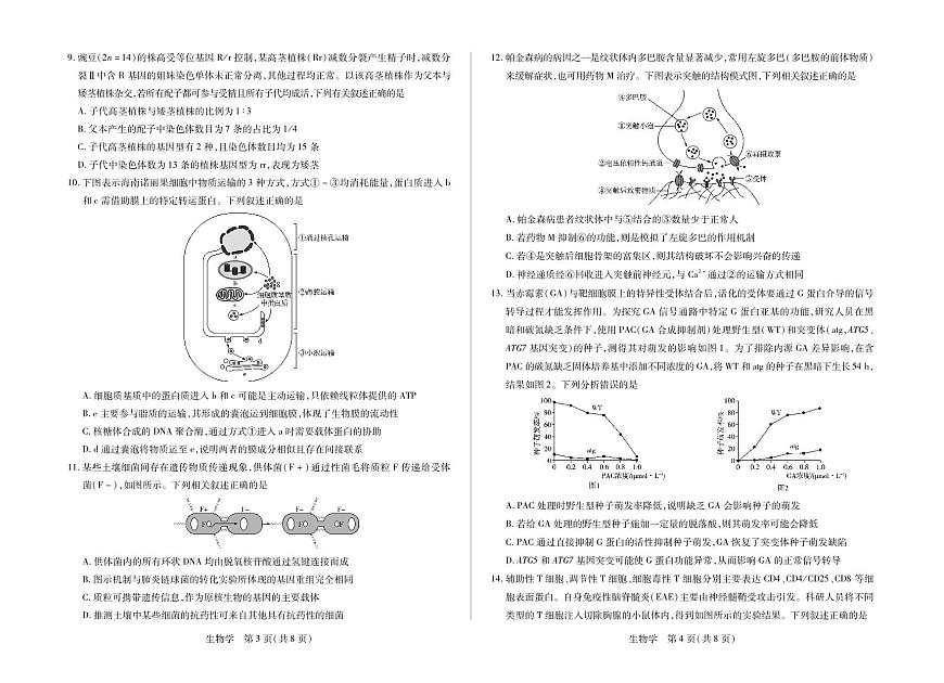 生物学-海南省多校2025-2026学年高三上学期期末联考（海南二模）第2页