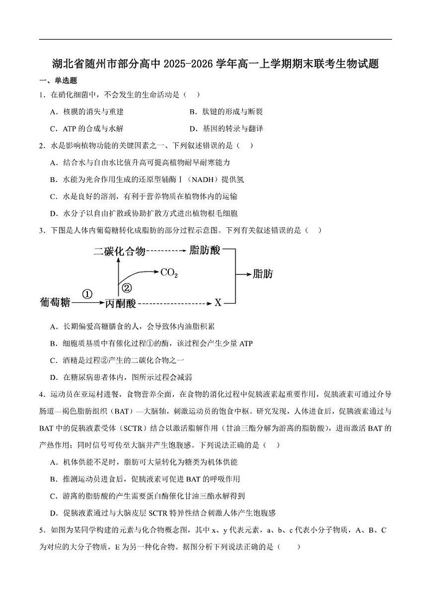 2025-2026学年湖北省随州市部分高中高一上学期期末联考生物试卷（含答案）第1页