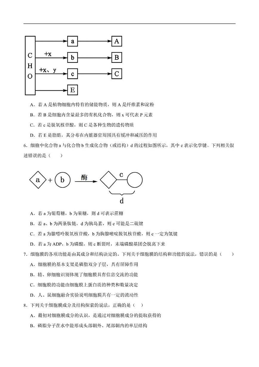 2025-2026学年湖北省随州市部分高中高一上学期期末联考生物试卷（含答案）第2页