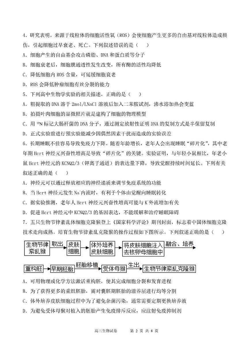 2025-2026学年宁夏吴忠市青铜峡市第一中学第一学期期末考试高三生物试卷（含答案）第2页