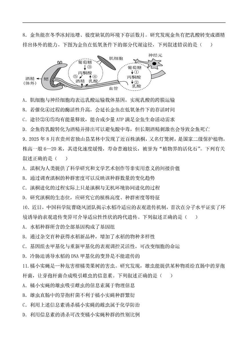 2025-2026学年宁夏吴忠市青铜峡市第一中学第一学期期末考试高三生物试卷（含答案）第3页