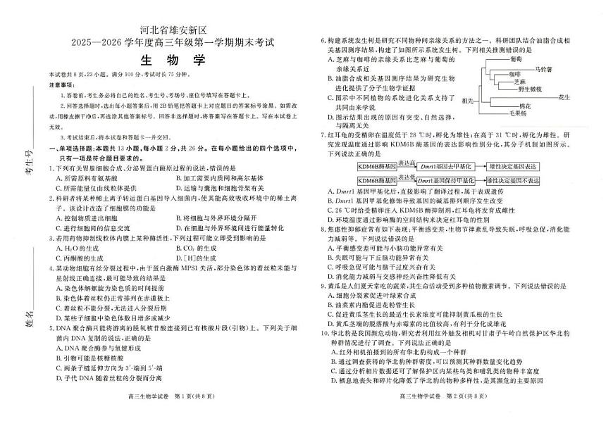 2026届河北省雄安新区高三上学期1月期末考试生物试卷（含答案）第1页