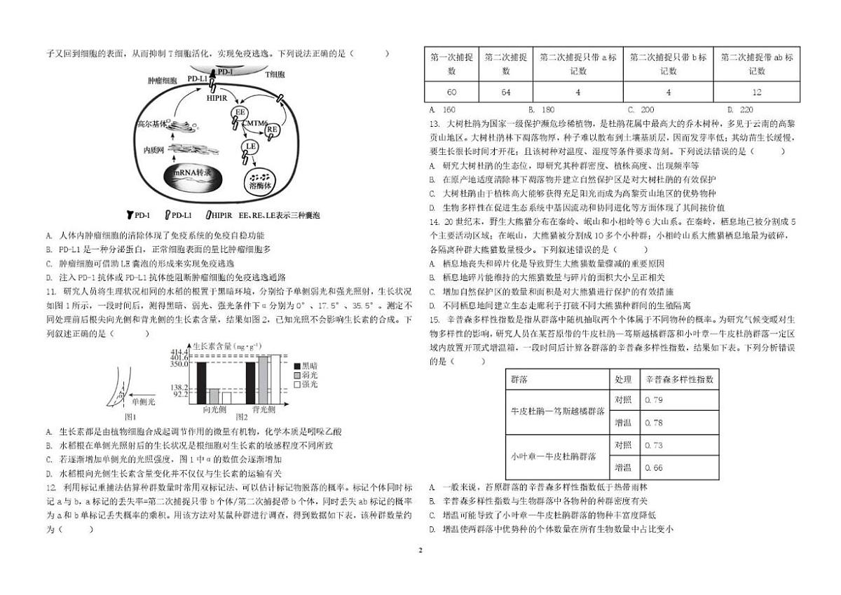 2026届山东省聊城第三中学高三上学期第四次质量检测生物试卷（含解析）第2页