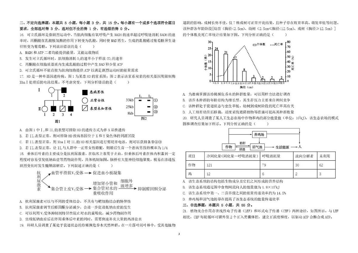2026届山东省聊城第三中学高三上学期第四次质量检测生物试卷（含解析）第3页