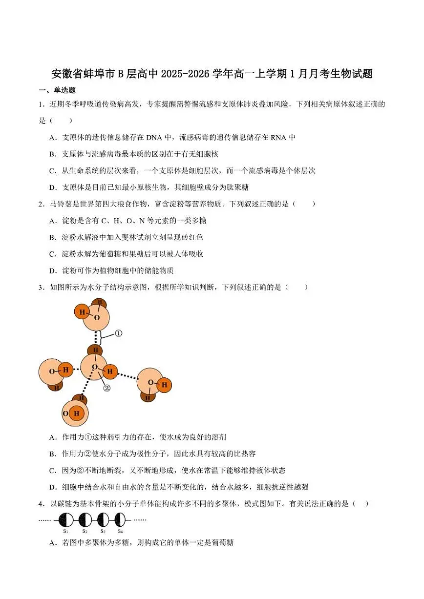 2025-2026学年安徽省蚌埠市B层高中高一上学期1月月考生物试卷（含答案）第1页
