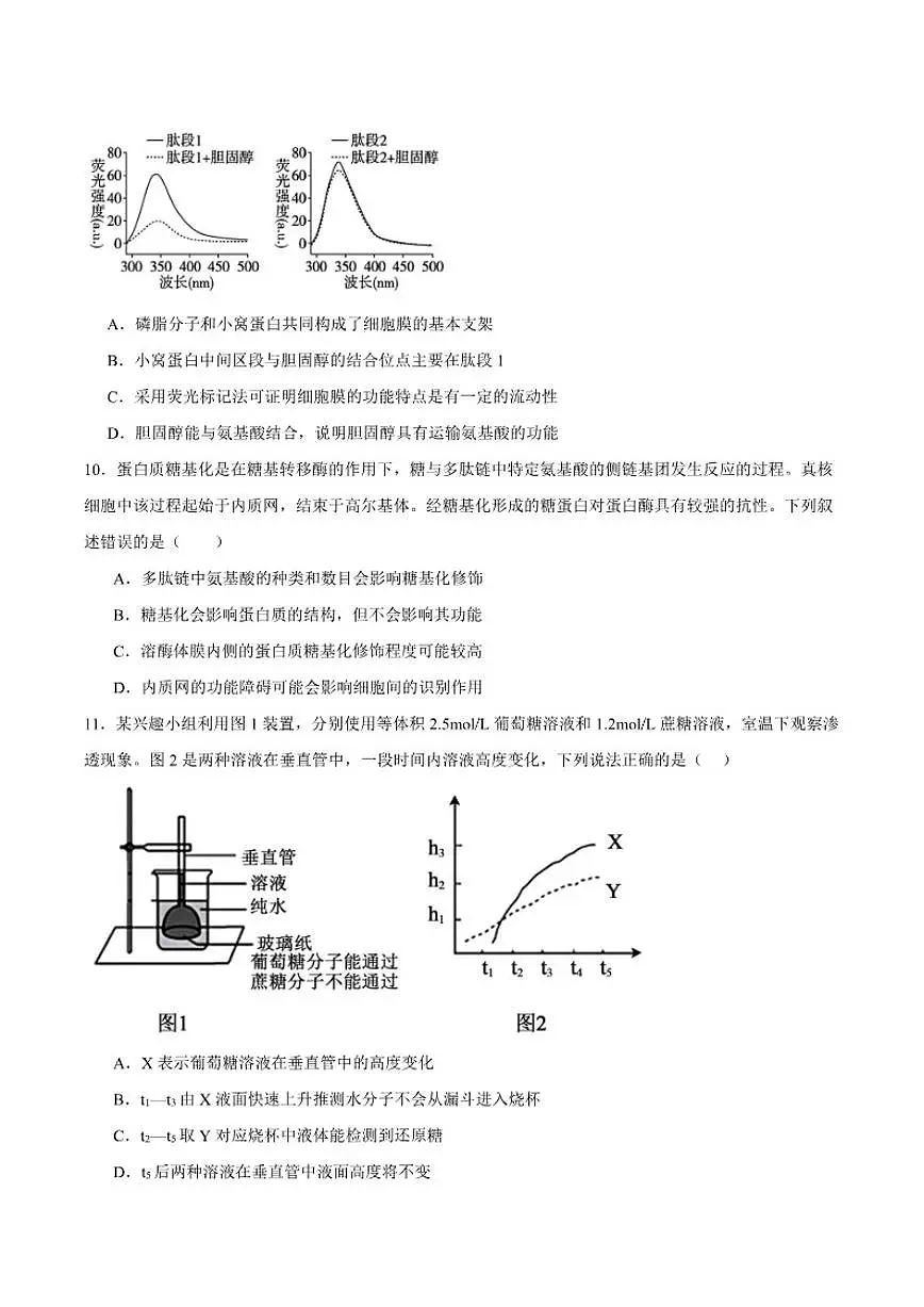 2025-2026学年安徽省蚌埠市B层高中高一上学期1月月考生物试卷（含答案）第3页