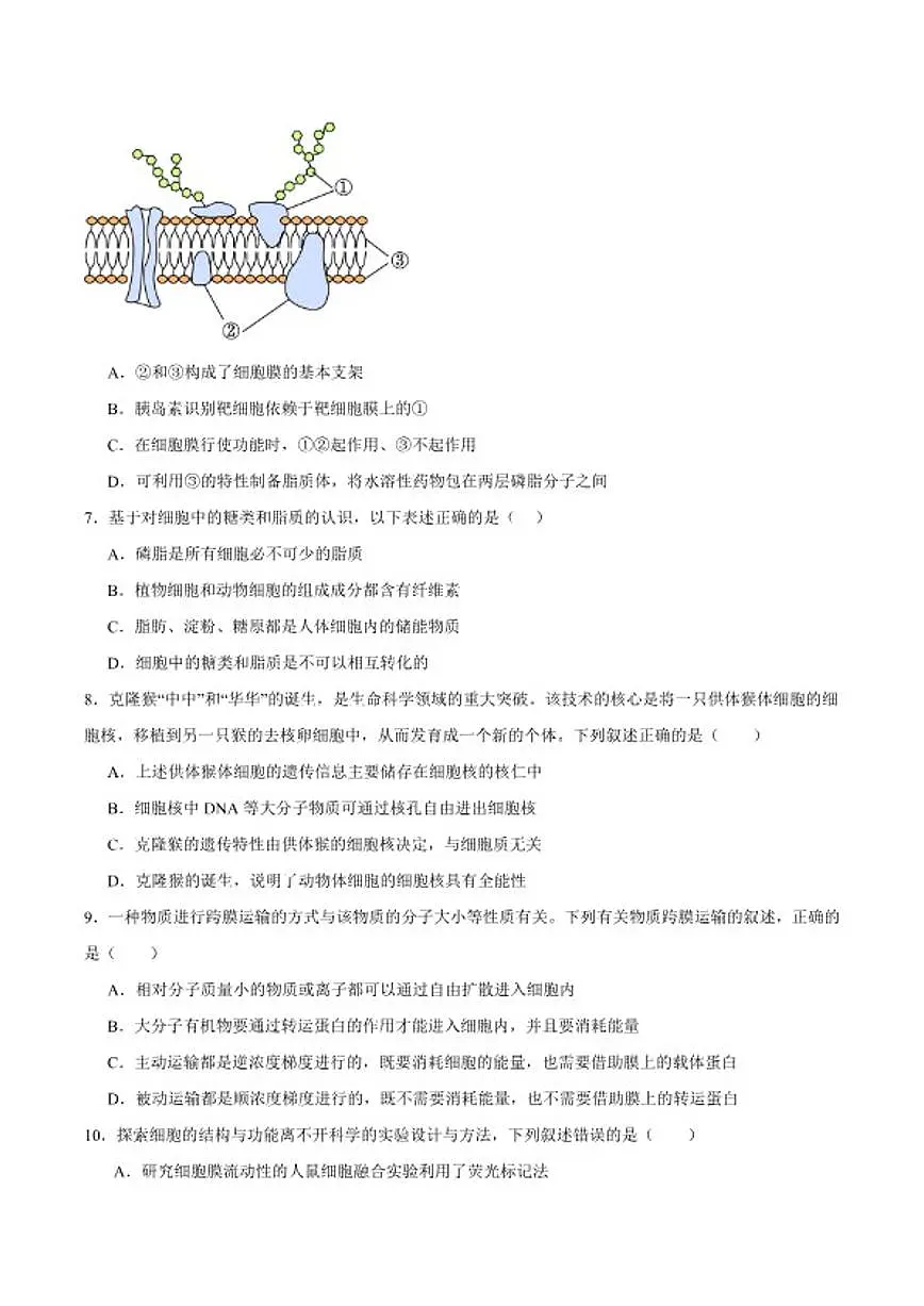 2025-2026学年四川省内江市高一上学期期末检测生物试卷（含答案）第2页