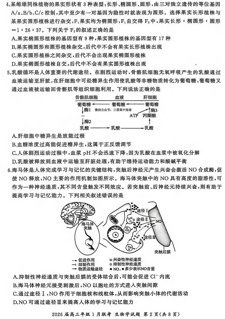 生物丨九省联考百师联盟2026届高三上学期1月期末考试试卷及答案第2页