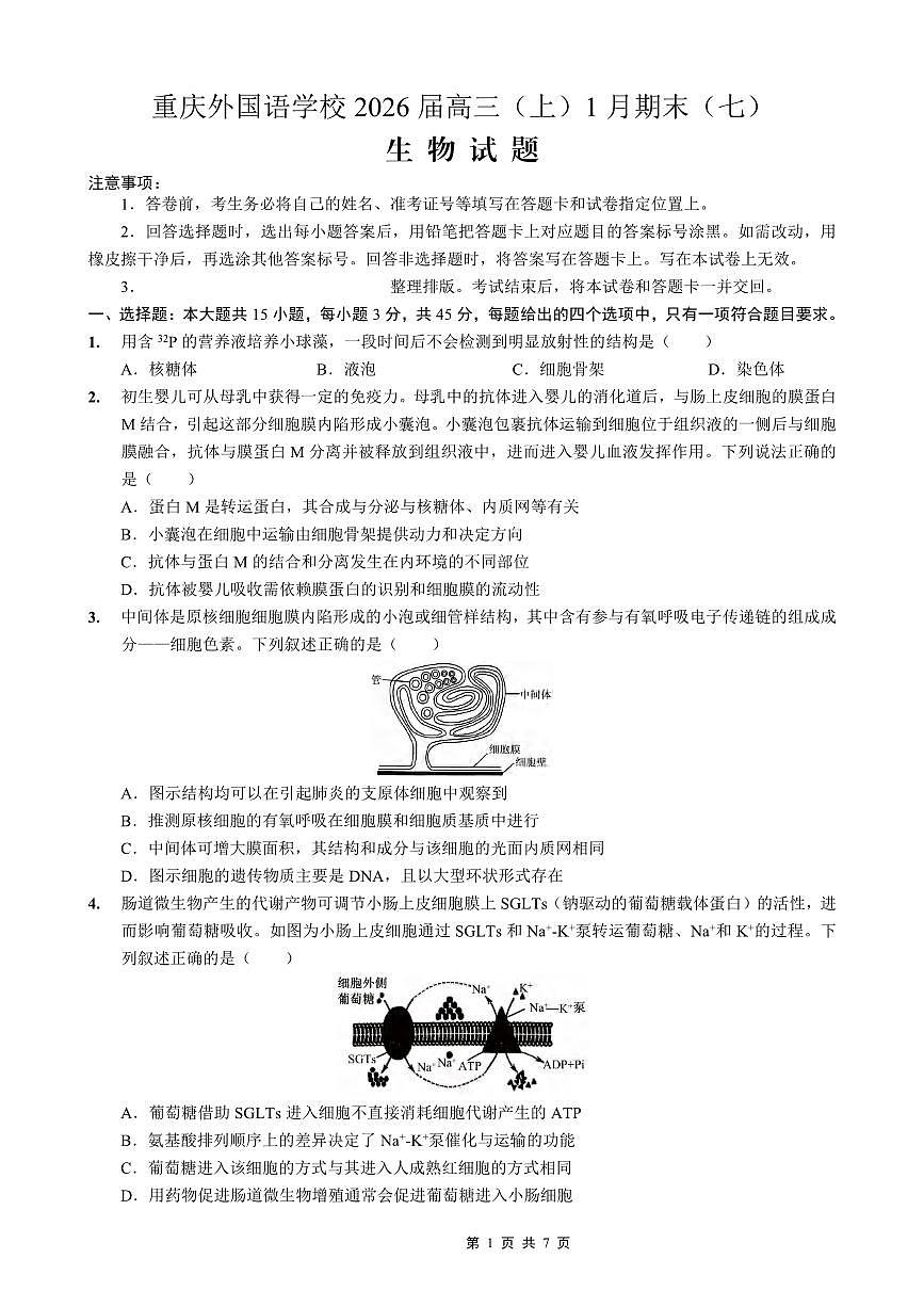 生物丨重庆市实验外国语学校高2026届高三上学期1月期末考试（七）试卷及答案第1页