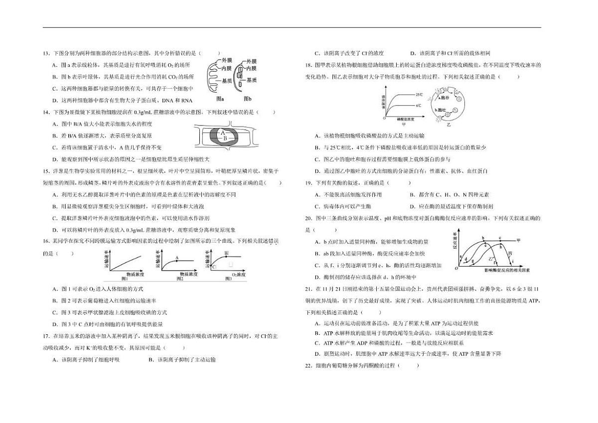 陕西省汉中市西乡县第一中学2025-2026学年高一上学期1月月考生物试题（含答案）第2页