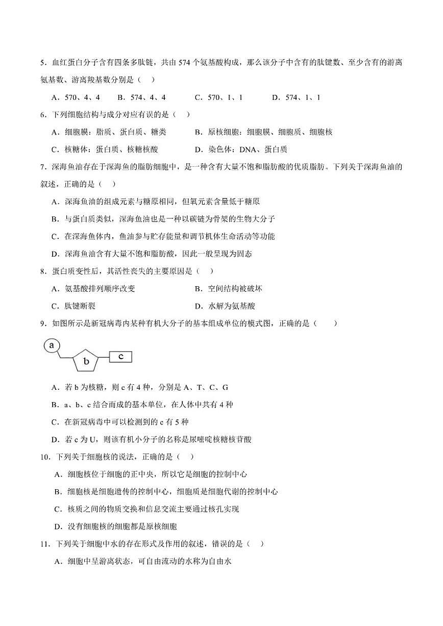 宁夏回族自治区石嘴山市平罗中学2025-2026学年高一上学期第三次月考（12月）生物试卷（含答案）第2页