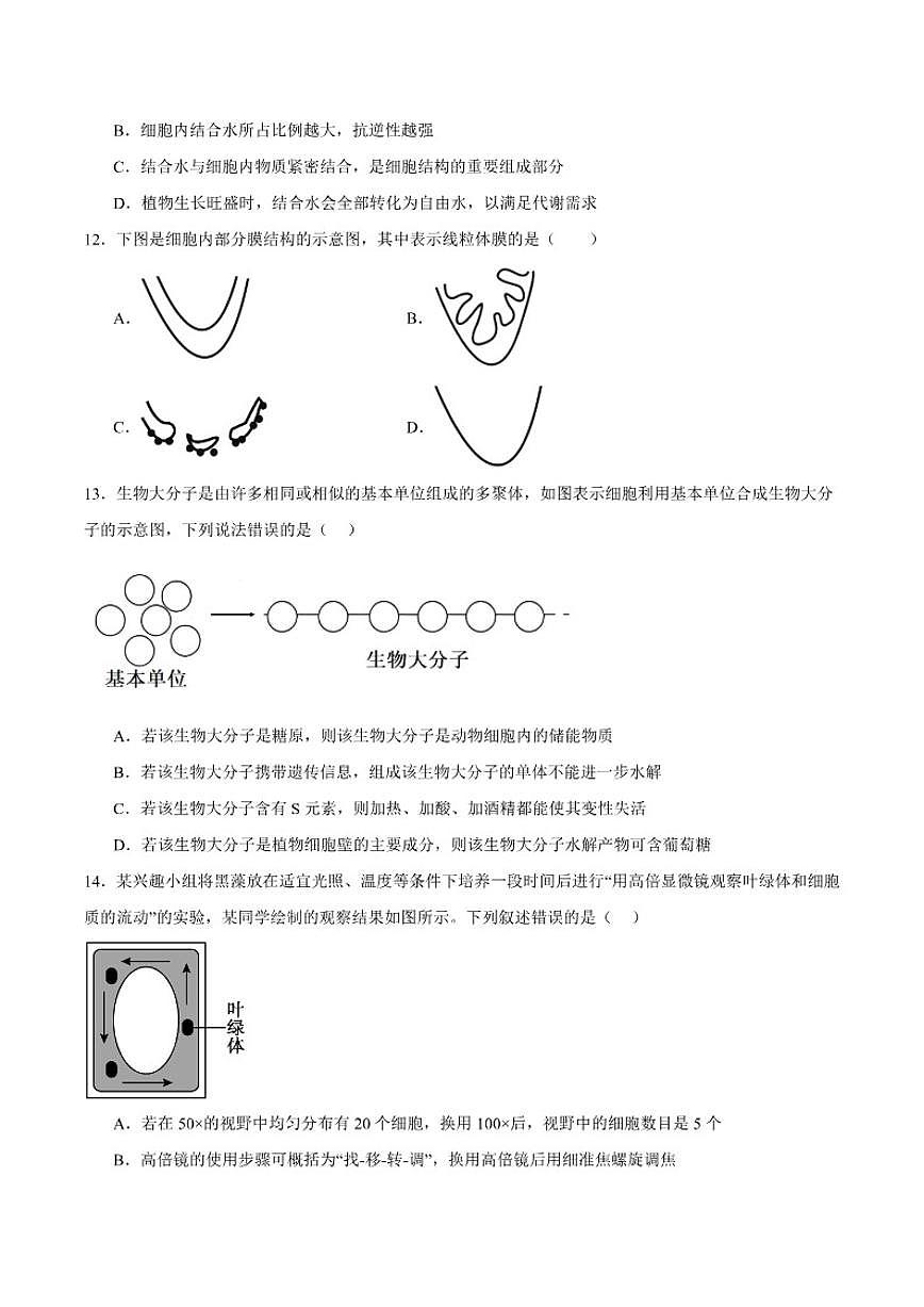 宁夏回族自治区石嘴山市平罗中学2025-2026学年高一上学期第三次月考（12月）生物试卷（含答案）第3页