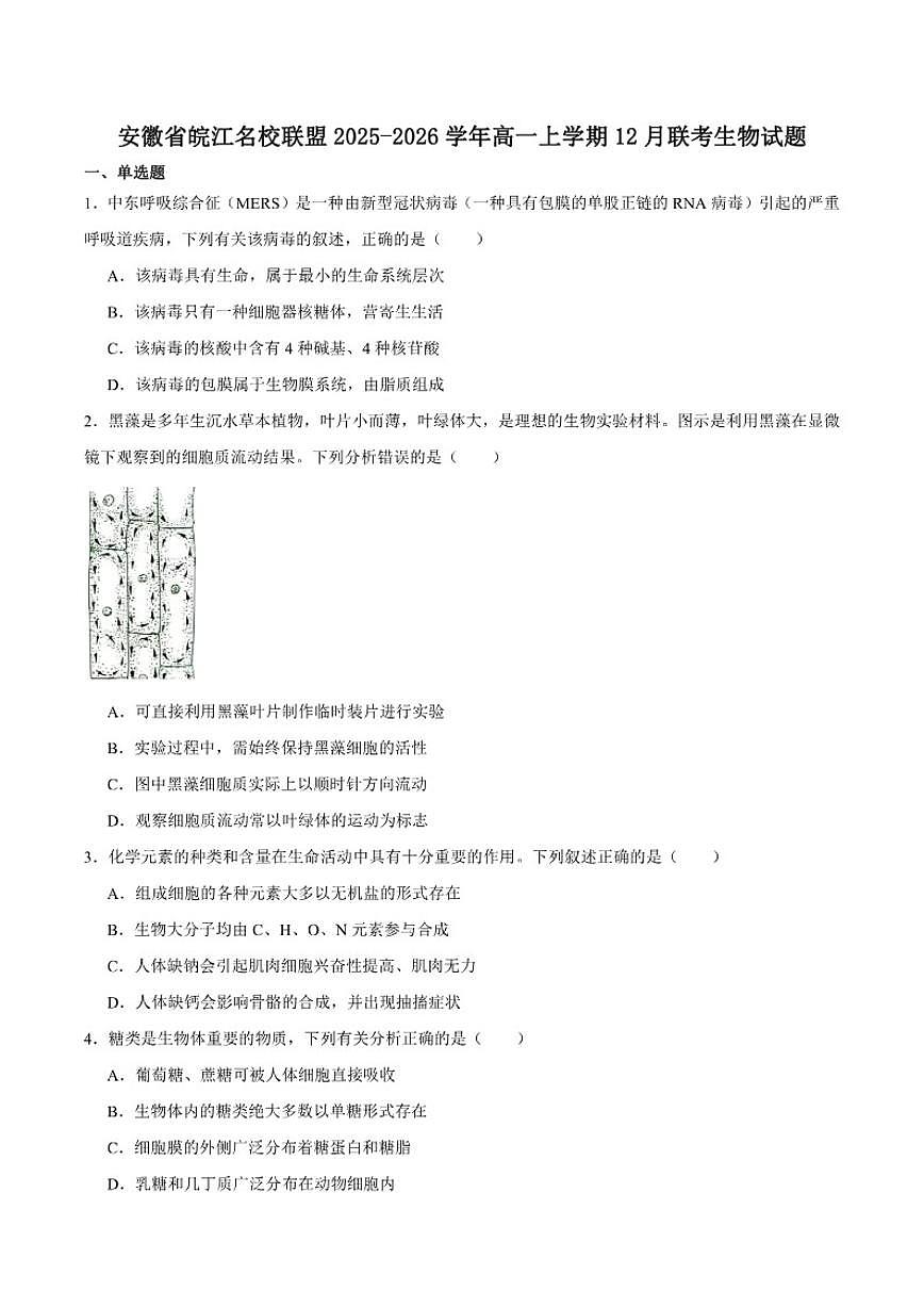 安徽省皖江名校联盟2025-2026学年高一上学期12月联考生物学试卷（含答案）第1页