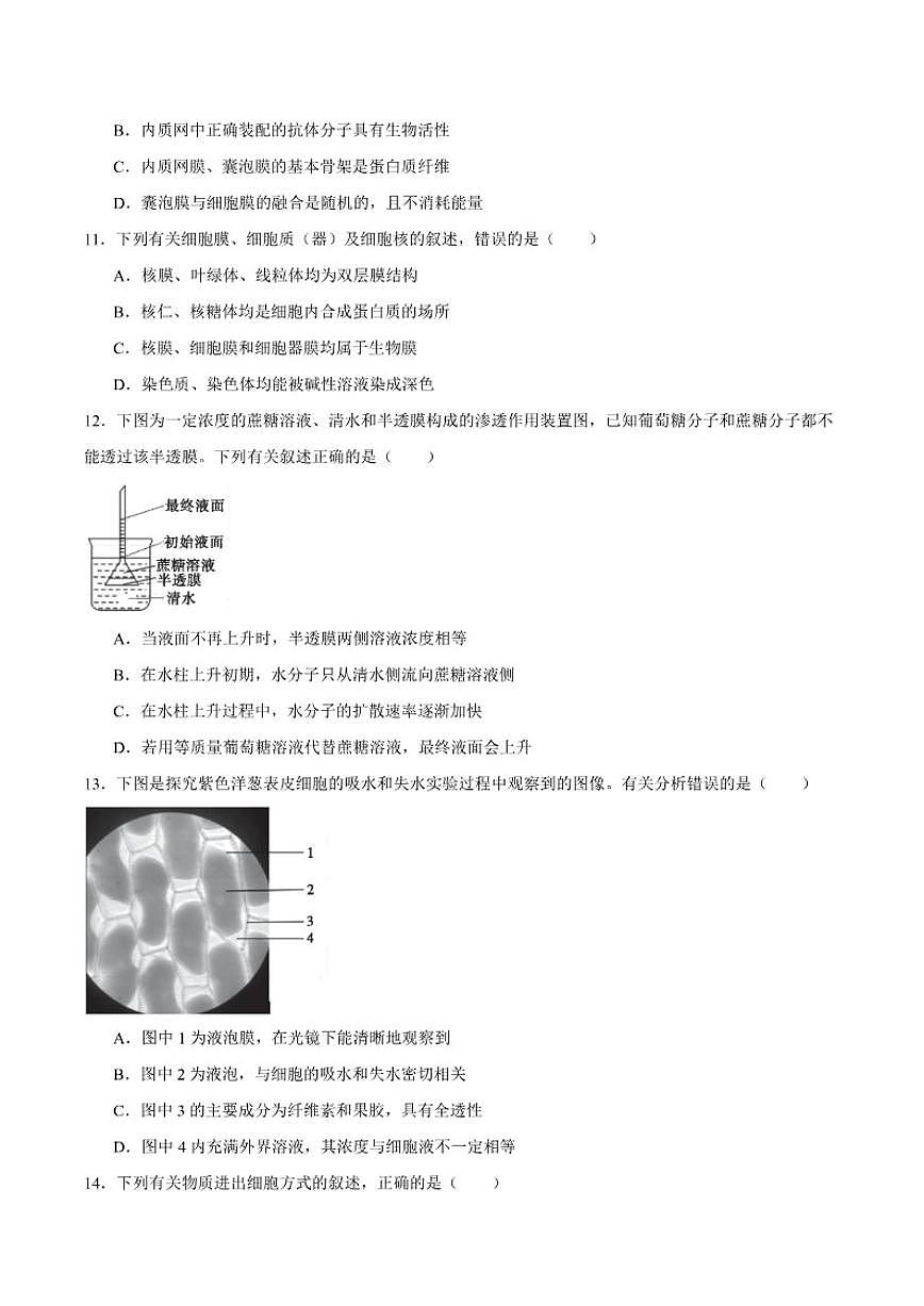安徽省皖江名校联盟2025-2026学年高一上学期12月联考生物学试卷（含答案）第3页