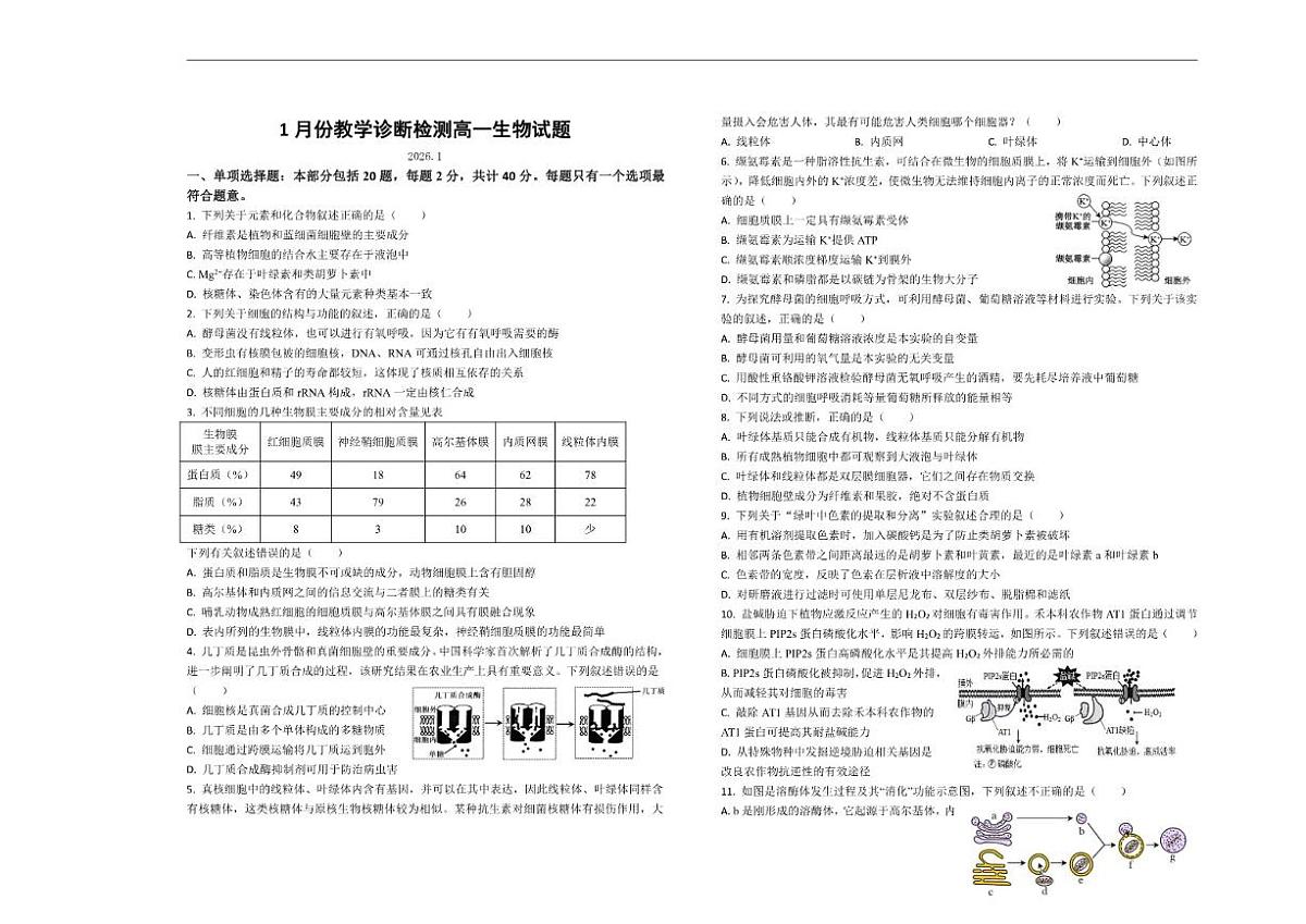 山东省菏泽市第一中学2025-2026学年高一上学期1月质量检测生物试题（含答案）第1页