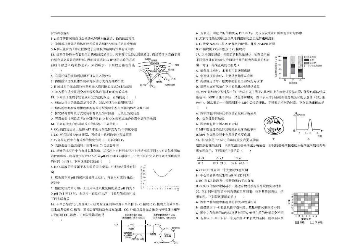 山东省菏泽市第一中学2025-2026学年高一上学期1月质量检测生物试题（含答案）第2页