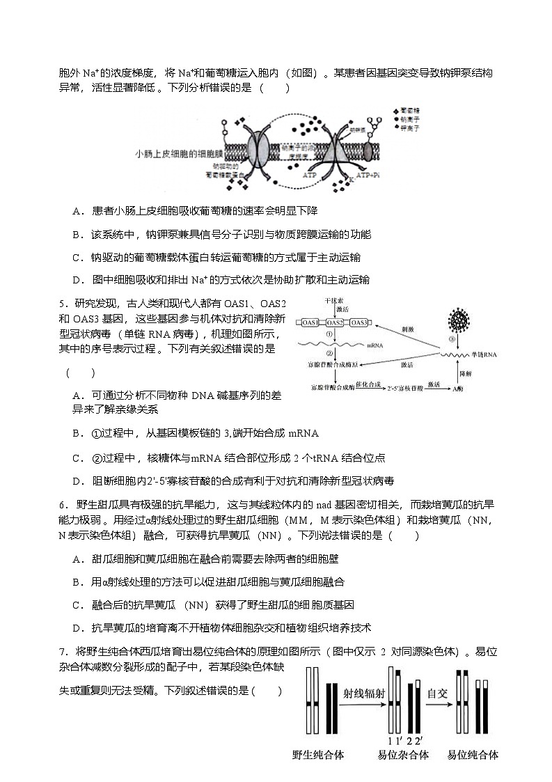 2026届四川省字节精准教育联盟高三上学期1月一模生物试题（无答案）第3页