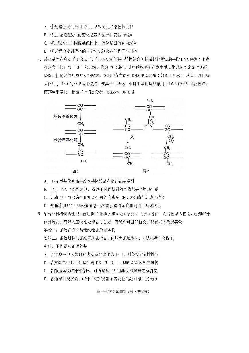 四川省遂宁市2024-2025学年高一下学期期末考试生物试卷（无答案）第2页