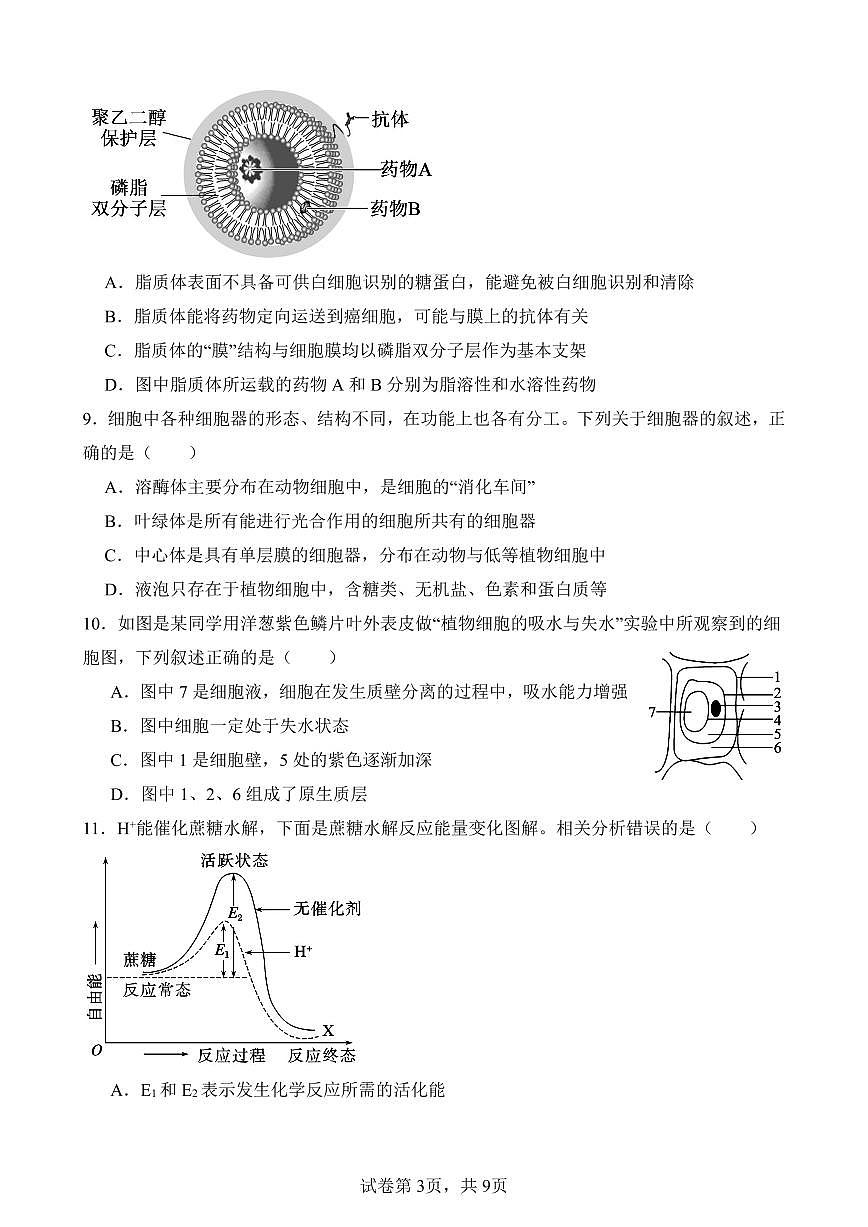 四川省南充市仪陇中学2025-2026学年高一上学期12月月考试题生物试卷（无答案）第3页
