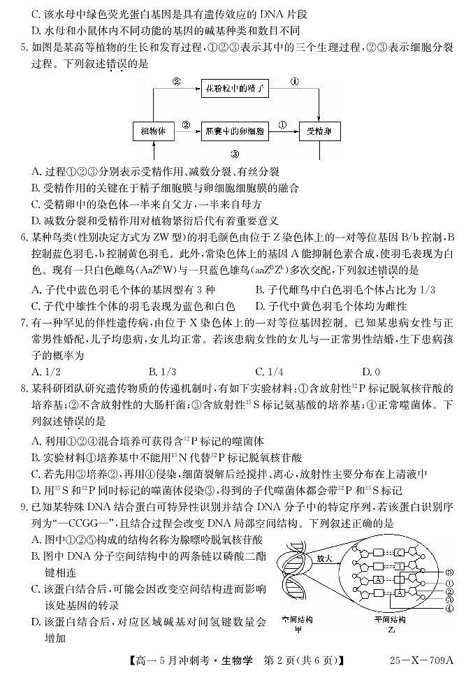 山西省卓越联盟2024-2025学年高一下学期5月冲刺考试生物试卷（无答案）第2页