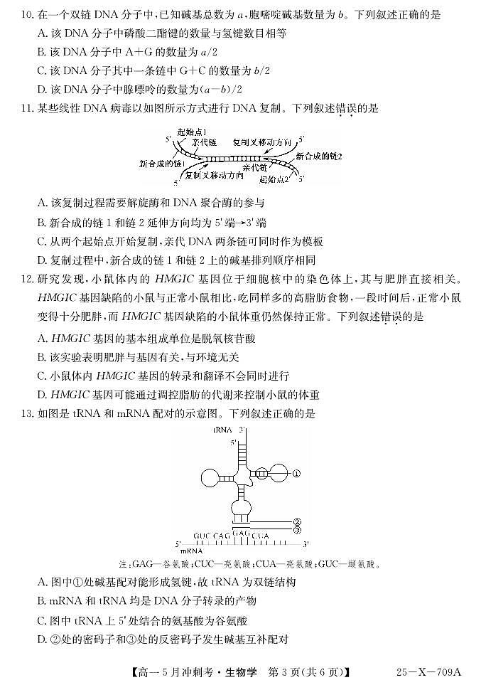 山西省卓越联盟2024-2025学年高一下学期5月冲刺考试生物试卷（无答案）第3页