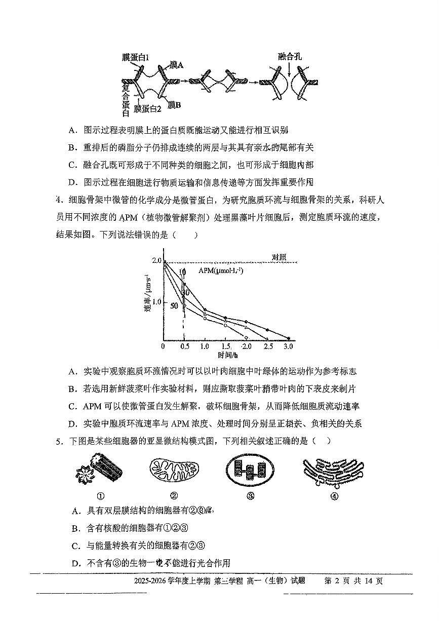 吉林省长春市第十一中学高中2025-2026学年1月高一上学期第三学程考试暨期末考试生物试卷（无答案）第2页