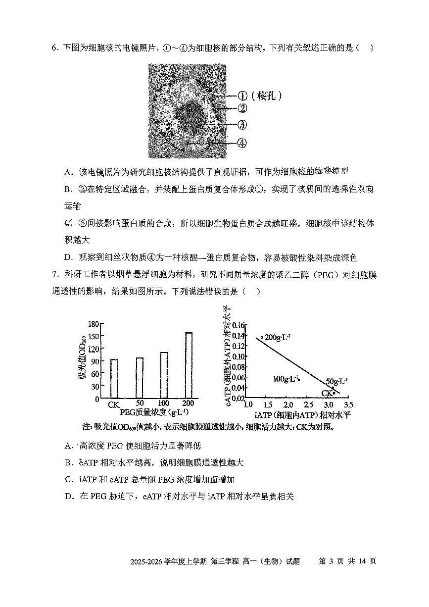 吉林省长春市第十一中学高中2025-2026学年1月高一上学期第三学程考试暨期末考试生物试卷（无答案）第3页