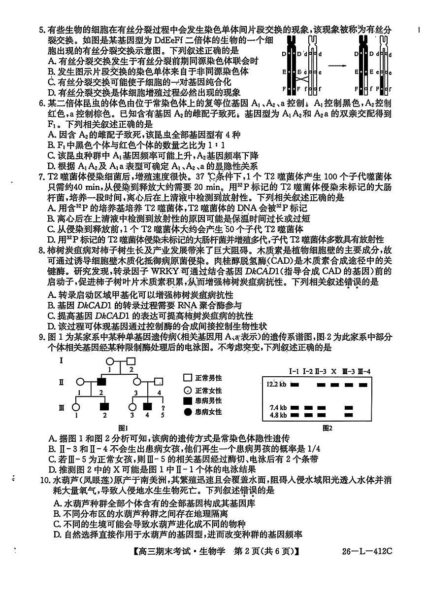 黑龙江省齐齐哈尔市2026届高三上学期1月期末考试（26—L—412C）生物试卷（无答案）第2页