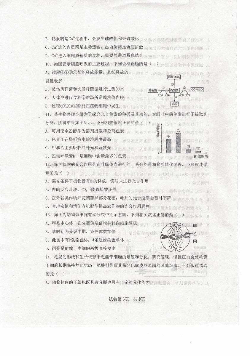 内蒙古自治区乌兰察布市集宁区第二中学2025-2026学年高一上学期1月期末考试生物试题第3页
