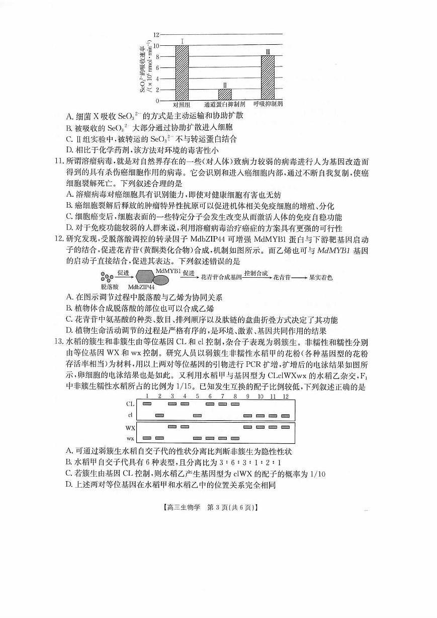 四川省德阳市2025-2026学年高三上学期期末联考生物试题第3页