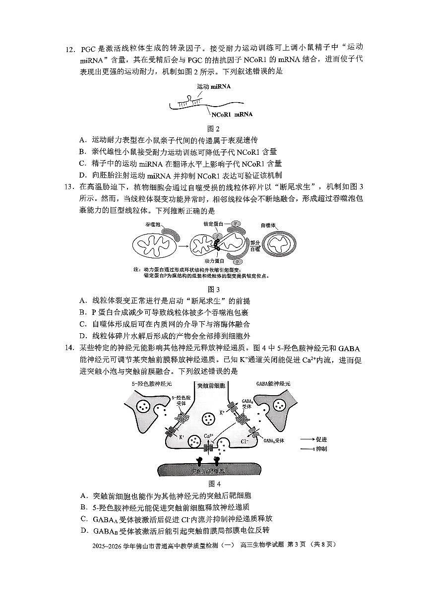 广东省佛山市2026届上学期高三一模教学质量检测（一） 生物试题+答案第3页