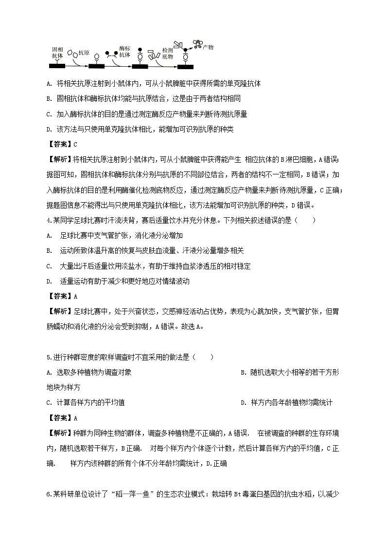 2025_2026学年高三生物上学期期中测试试卷含解析第2页