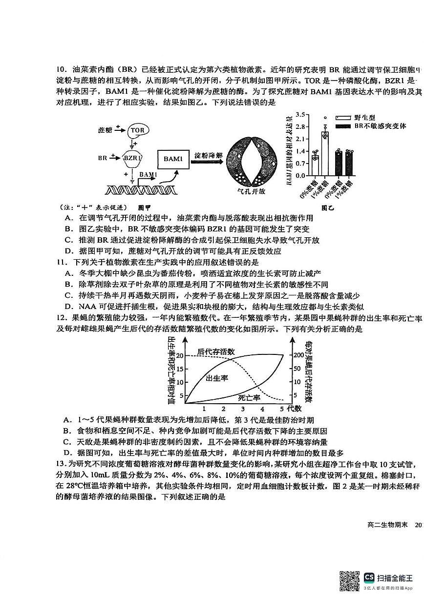 2025-2026学年四川省成都市树德中学高二上学期期末考试生物试题（含答案）第3页