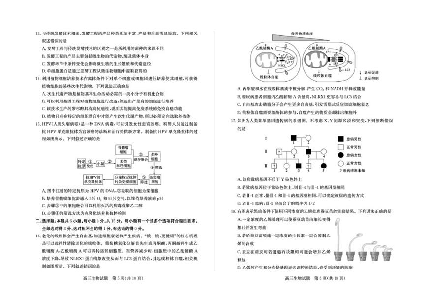 2025—2026学年山东省枣庄市高三上学期1月期末联考生物试题（含答案）第3页