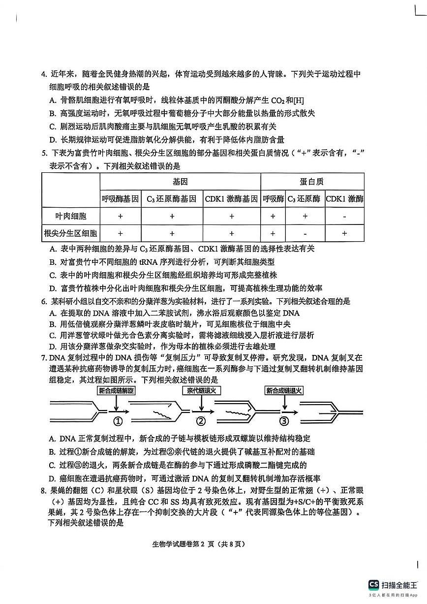 2026届安徽省淮北市高三上学期第一次质量检测生物学试题（含答案）第2页