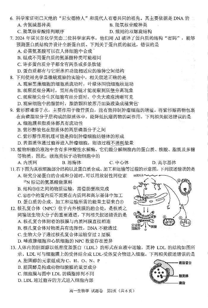 绵阳市高中2024级第一学期期末教学质量测试 生物学第2页