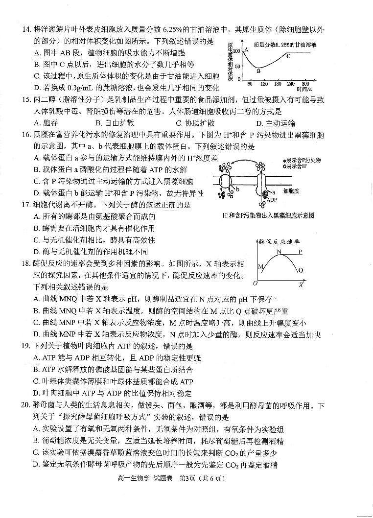 绵阳市高中2024级第一学期期末教学质量测试 生物学第3页