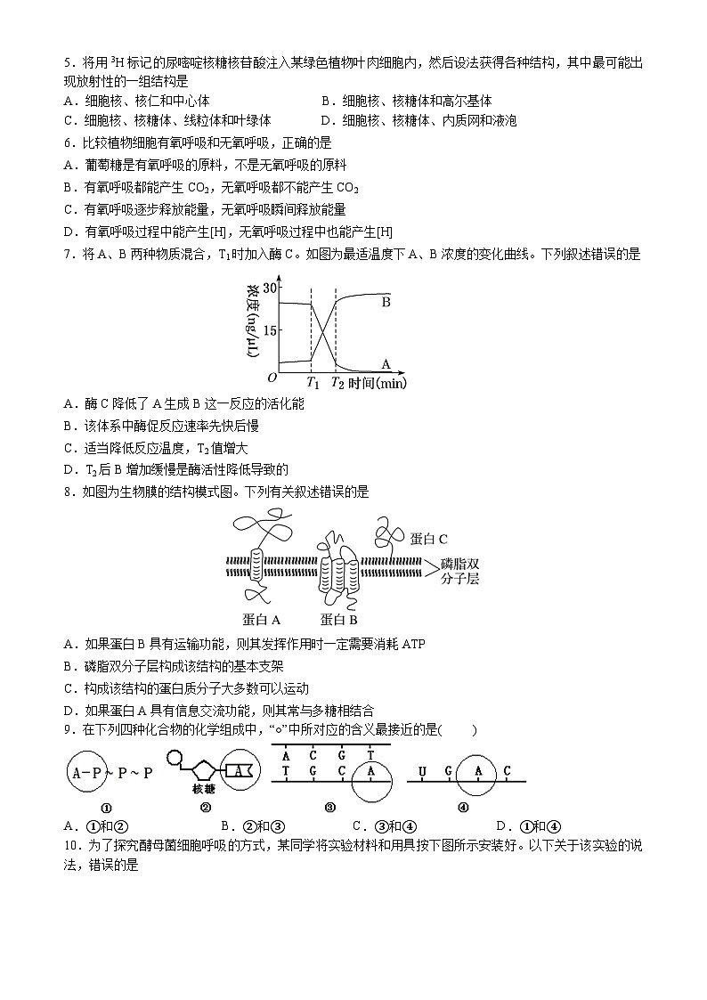 四川省南充市嘉陵第一中学2024-2025学年高一上学期12月月考生物试题第2页