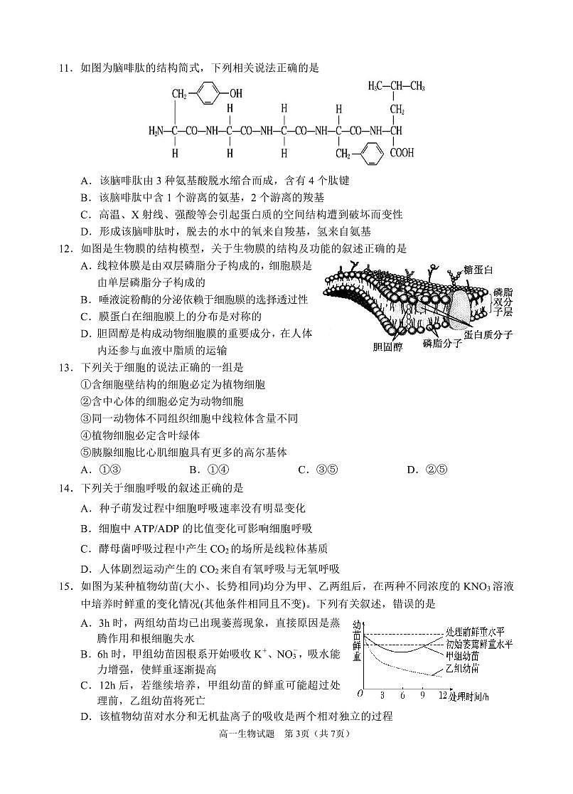 生物试题第3页