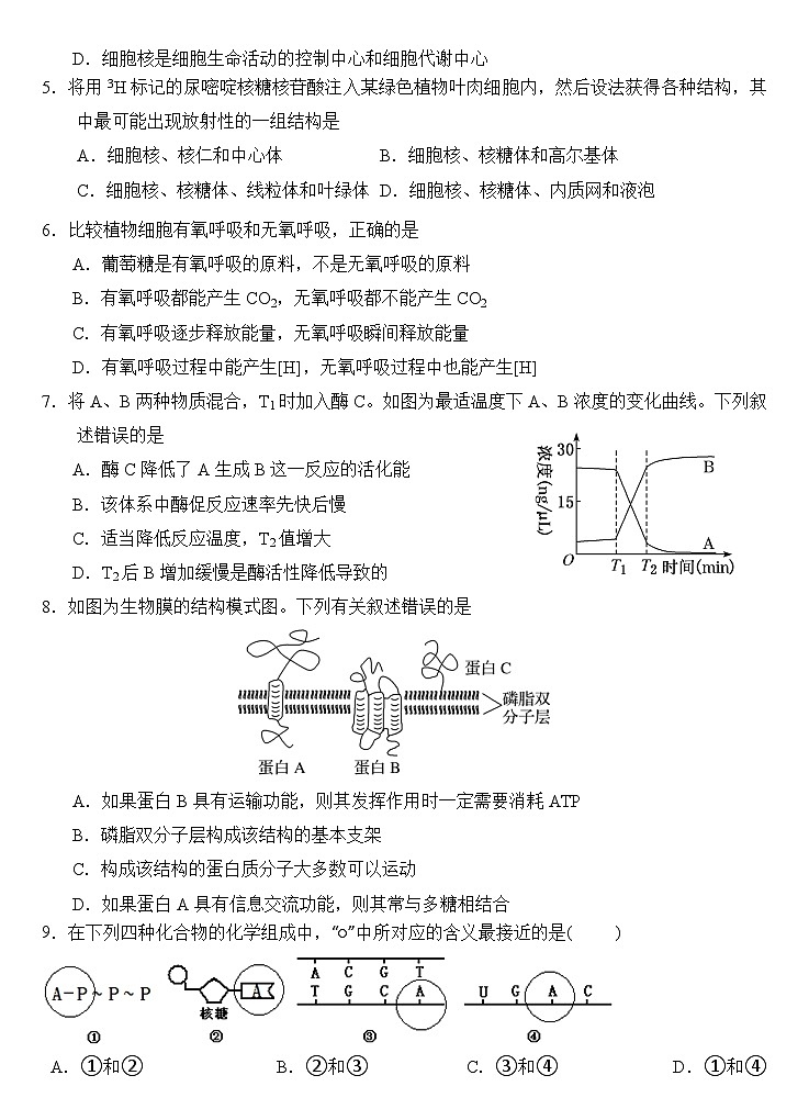 生物试题第2页