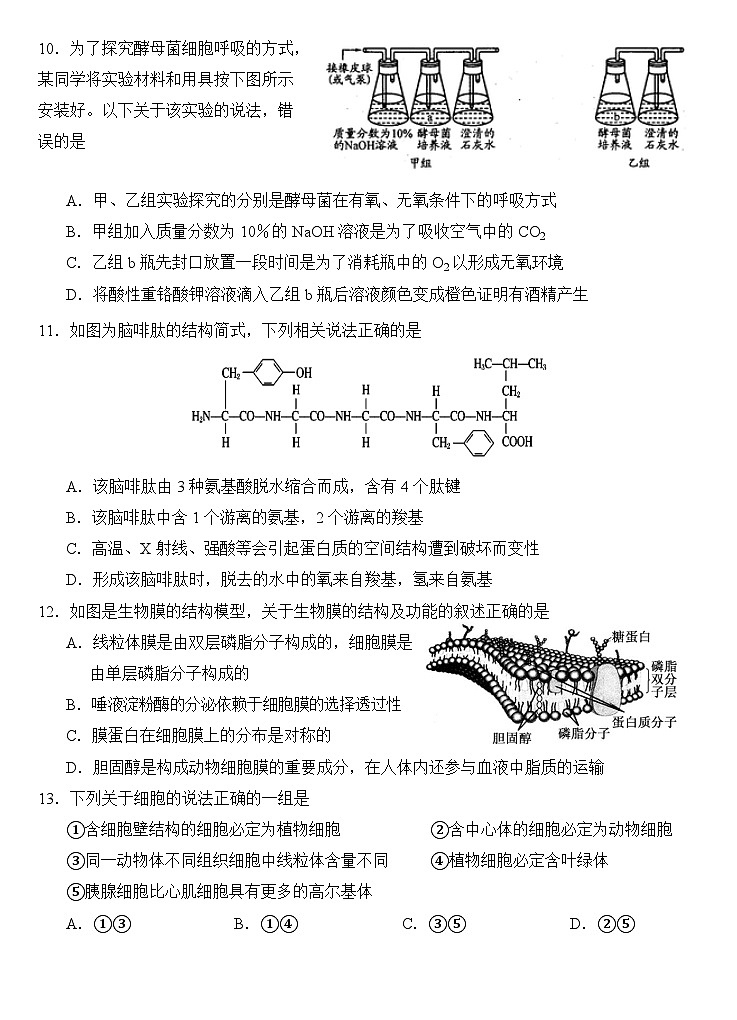 生物试题第3页