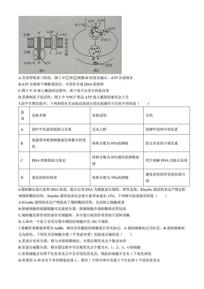 生物丨湖北省孝感市2026届高三上学期1月第一次统一考试试卷及答案第2页